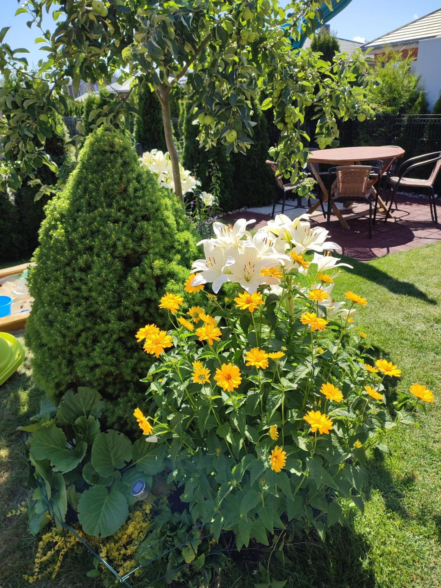 Geltoni Apartamentai Palanga Buitenkant foto